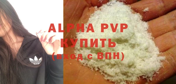 индика Бородино