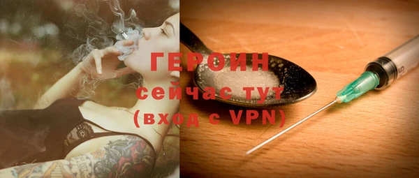 индика Бородино