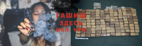 индика Бородино