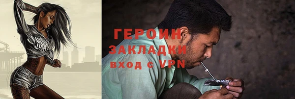 индика Бородино