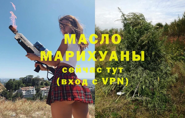 индика Бородино