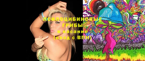 индика Бородино