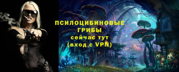 индика Бородино