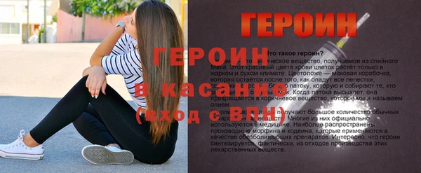 индика Бородино